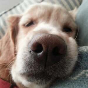 Meet your Posher, Jay